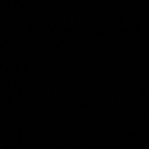 Meet your Posher, Georgia